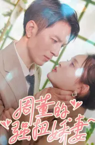 Vợ Nhỏ Của Tổng Giám Đốc