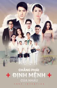 Chẳng Phải Định Mệnh Của Nhau