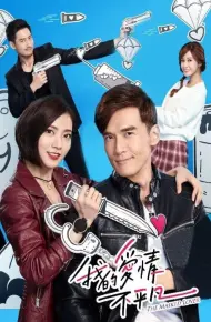 Chuyện Tình Ngược Lối - The Masked Lover