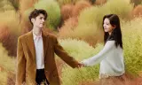 Người Tình Chữa Lành