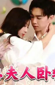 Phó Tổng, Phu Nhân Lại Làm điều Dại Dột Rồi.