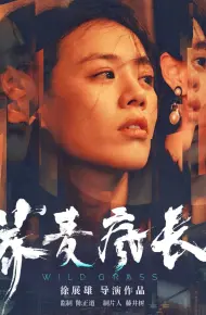 Mùa Hoa Kiều Mạch