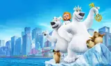 Đầu Gấu Bắc Cực: Chìa Khóa Thần Kỳ
