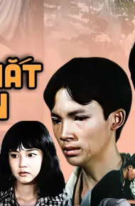 Nước Mắt Muộn Màng