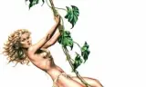 Tarzan: Người Vượn