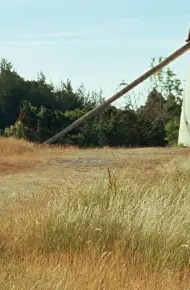 Bergman Island