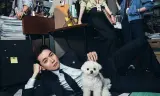 Luật Sư Công Ích