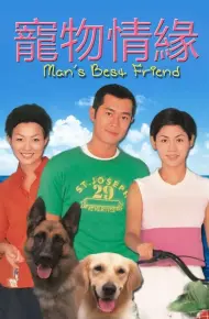 Chú Chó Thông Minh