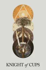 Knight Of Cups