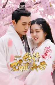 Ngã Đích Song Diện Phu Quân
