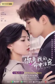 Định Mệnh Anh Yêu Em (Bản Trung)