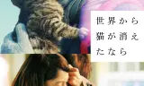 If Cats Disappeared From The World