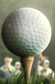 Những Tay Golf Chuyên Nghiệp (Phần 4)