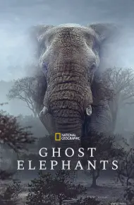 Ghost Elephants