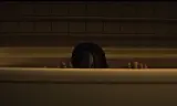 The Grudge