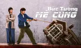 Bức Tường Mê Cung