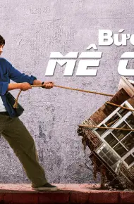 Bức Tường Mê Cung