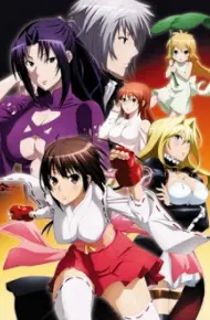 Sekirei: Pure Engagement