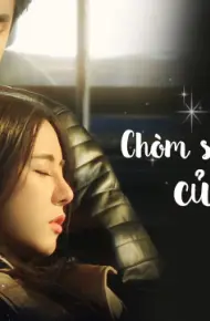 Chòm Sao May Mắn Của Anh
