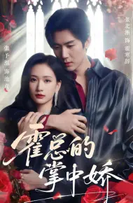 Người Yêu Của Tổng Giám Đốc Huo