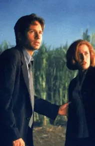 The X Files