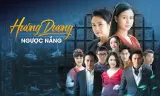 Hướng Dương Ngược Nắng