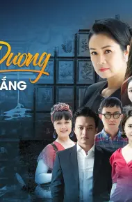 Hướng Dương Ngược Nắng