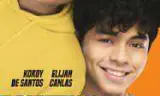 Gameboys